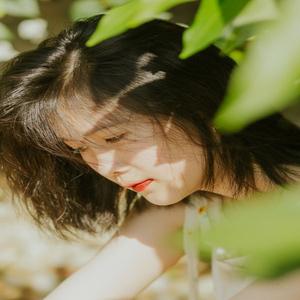 公凡梦