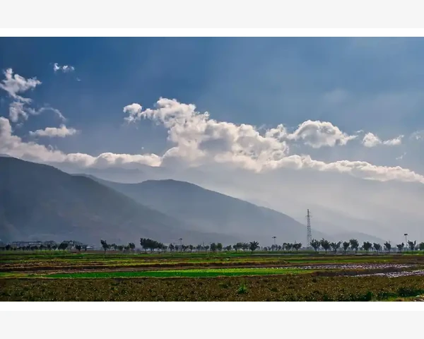 中医经典：治脾胃的中药有哪些？